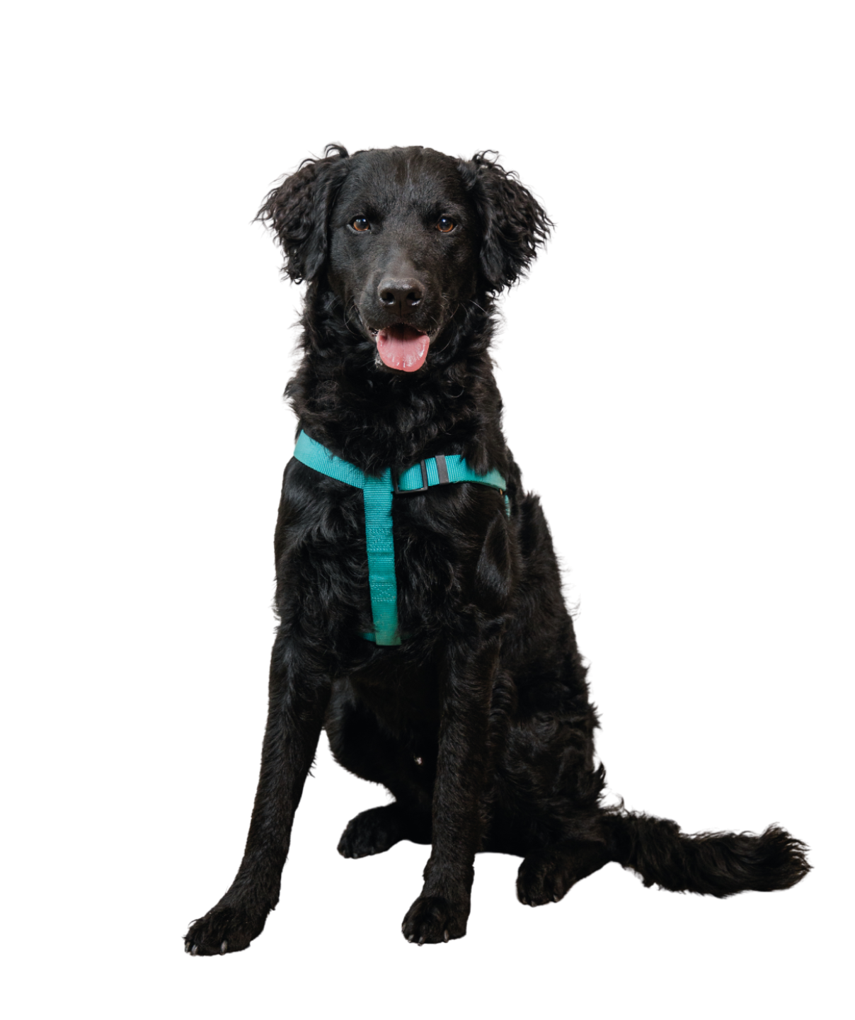 5ce31aea-1062-4377-94a3-65044d12d548