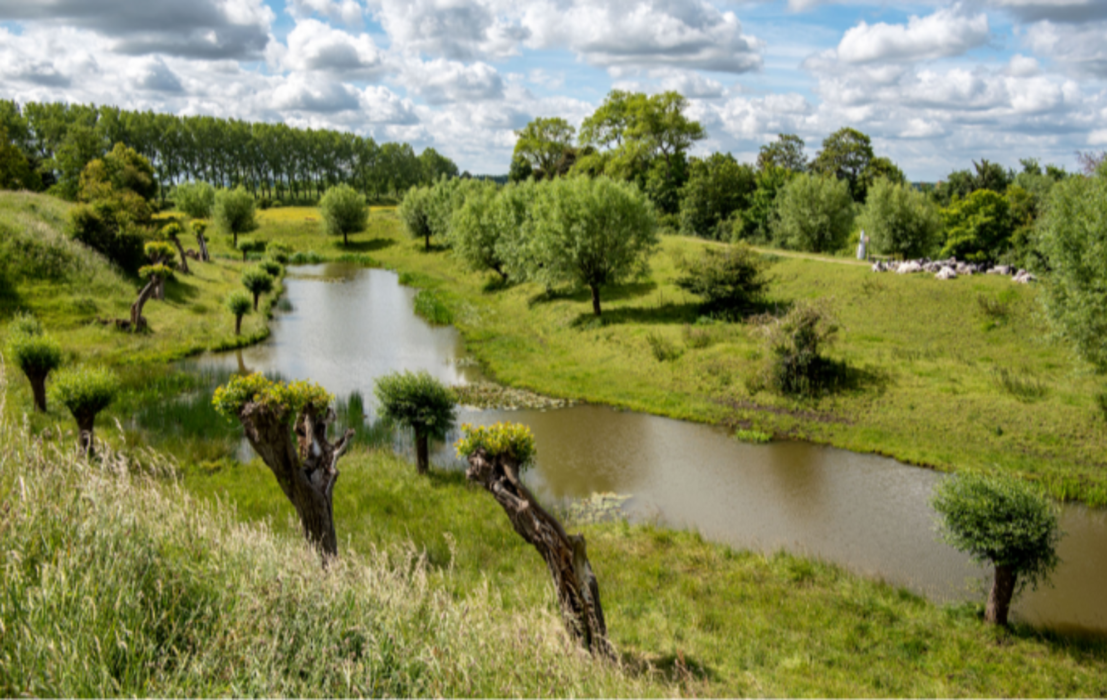 case-de-beste-plek-1-700x435-1