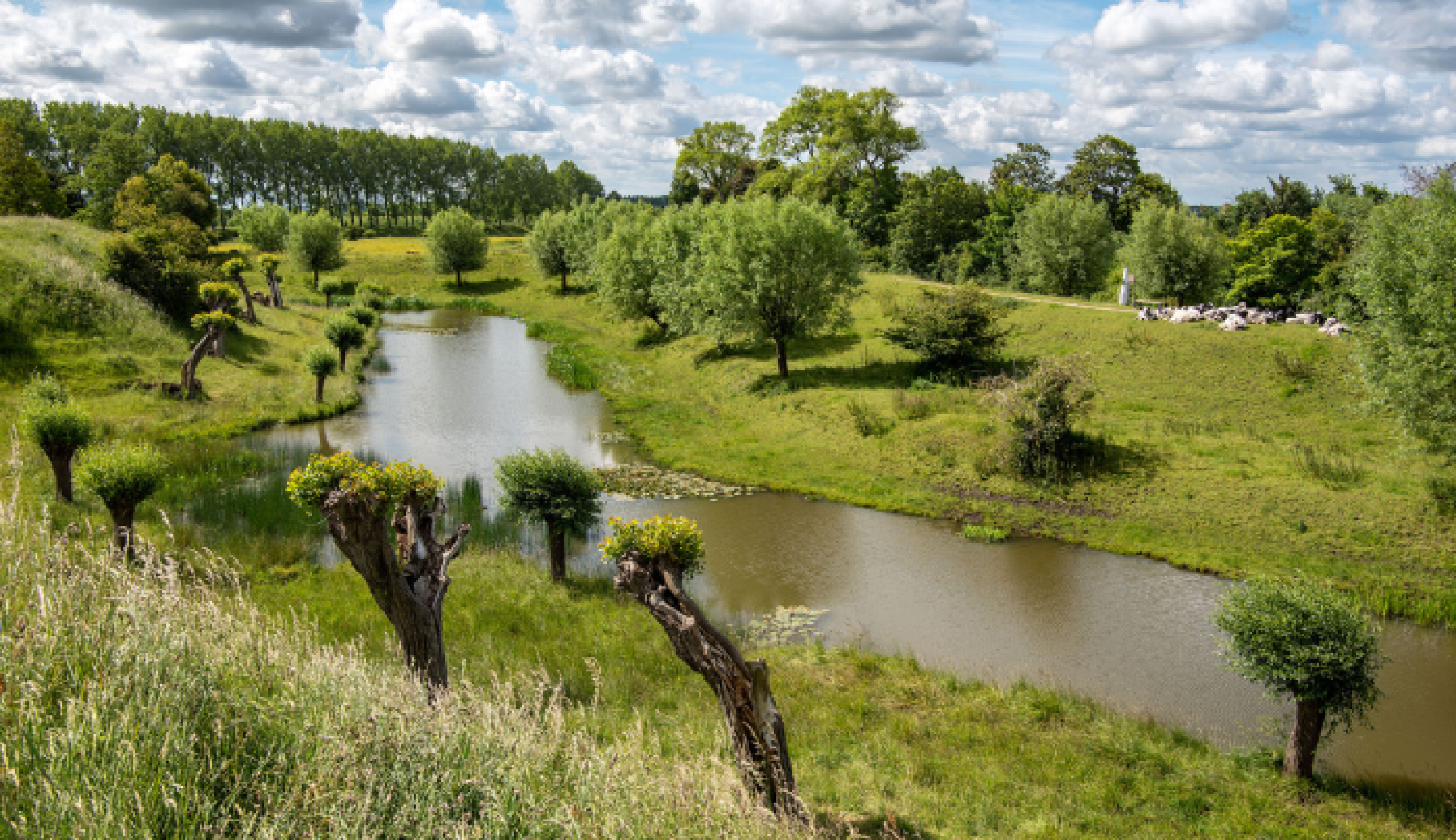 case-de-beste-plek-1-700x435-1