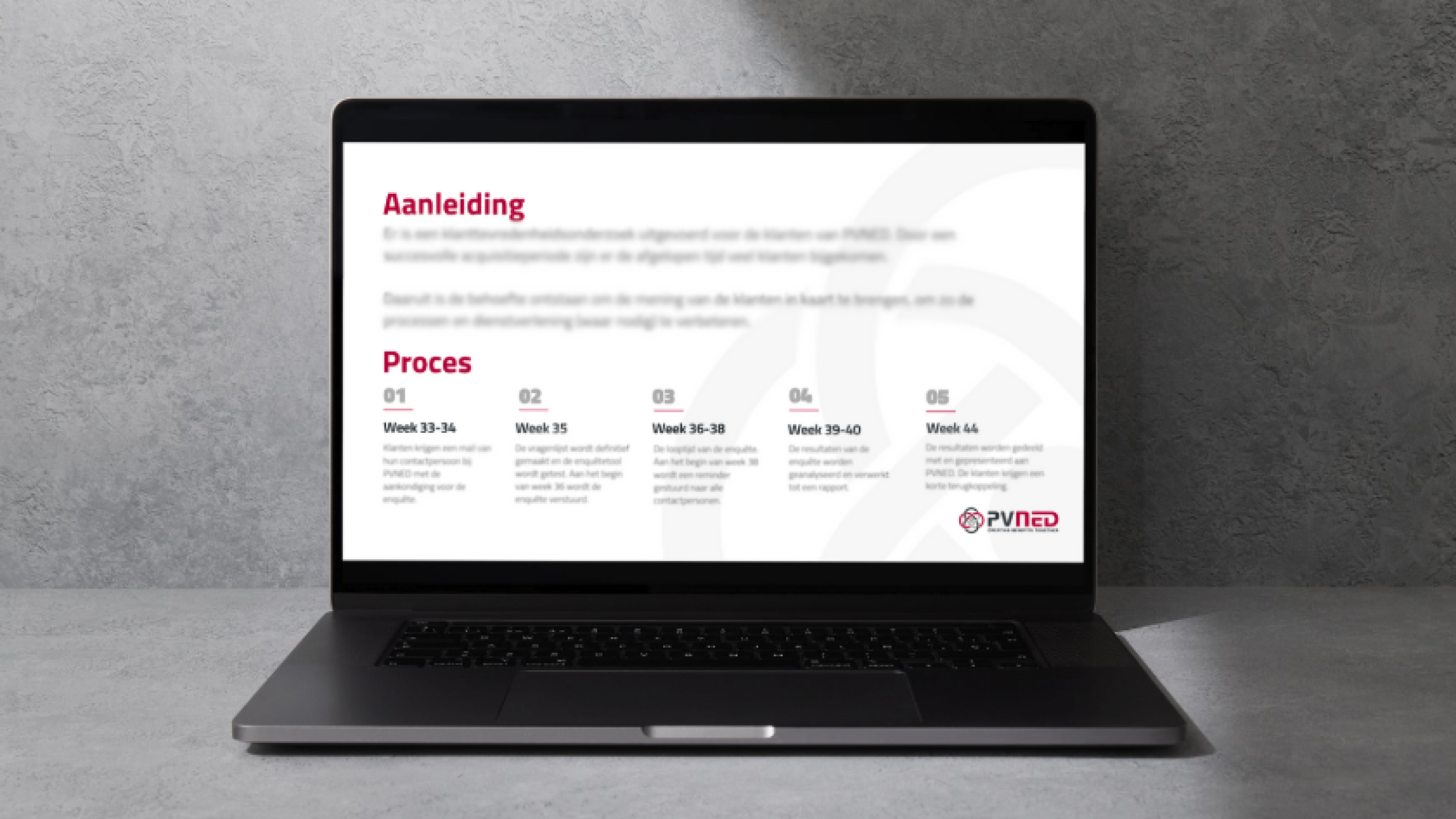PVNED plan van aanpak