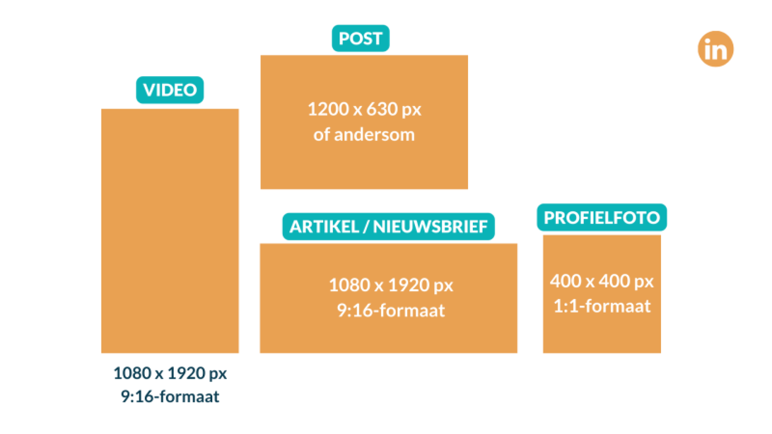 afmetingen-2025-linkedin-800x450