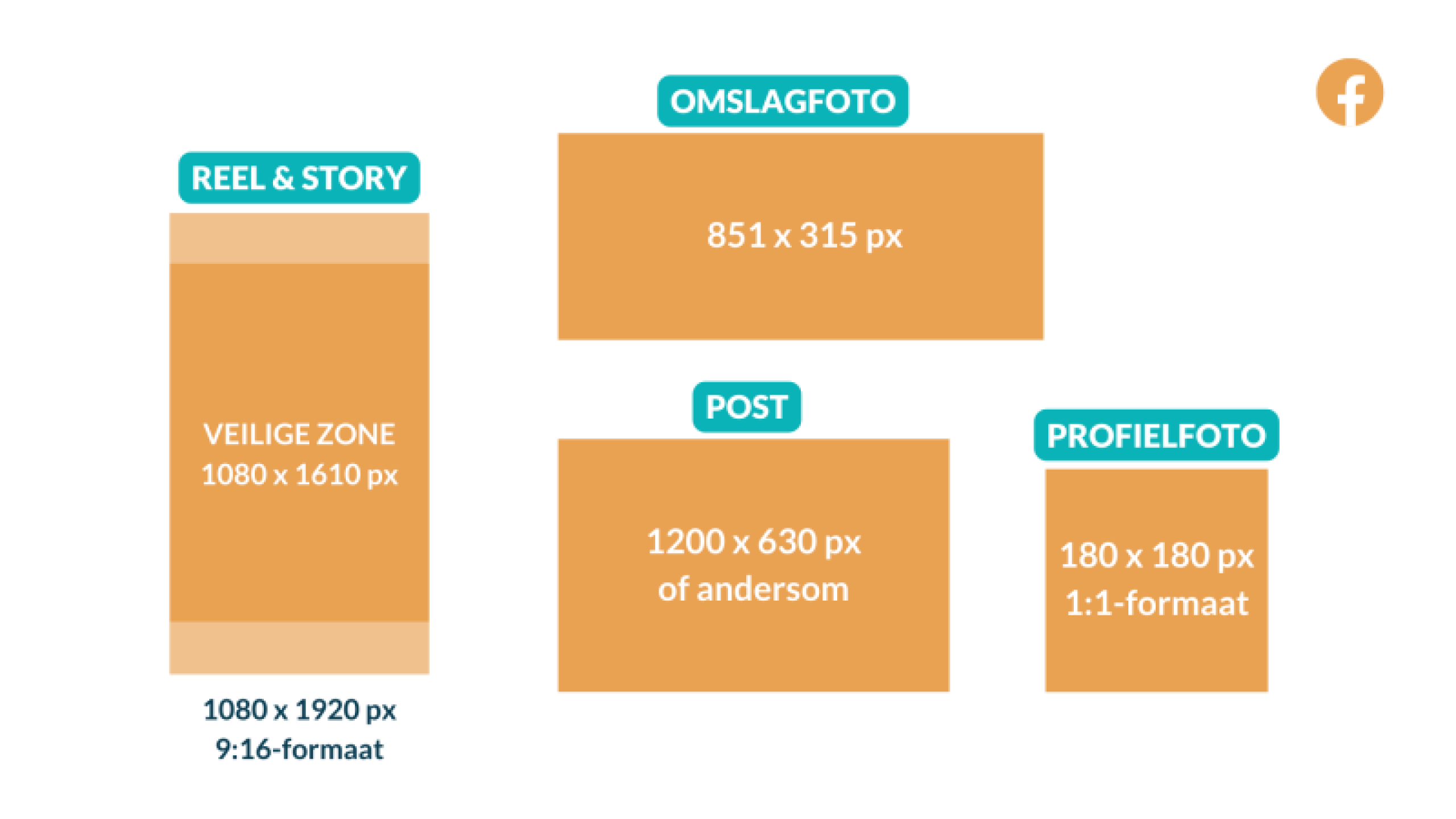 afmetingen-2025-facebook-800x450